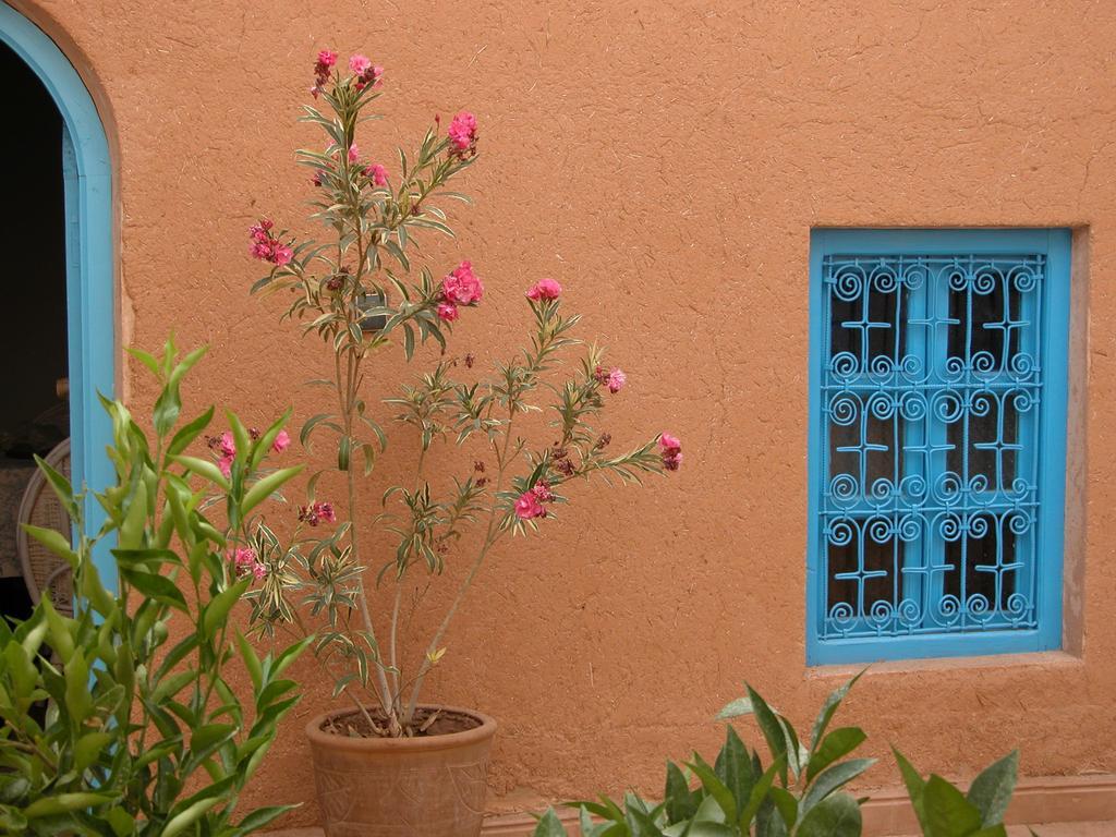 Kasbah Iswan Bed & Breakfast Kelaat-M'Gouna Luaran gambar